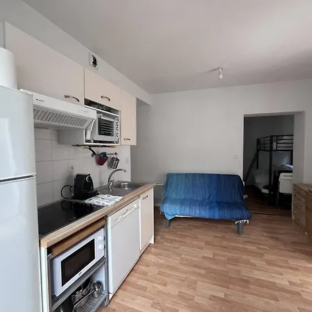 A Cauterets, Ideal Pour 5 Pers, Animaux Admis - Fr-1-812-137 Apartament *